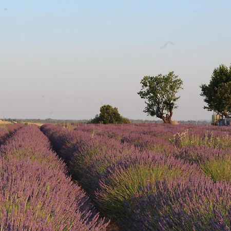 Le Mas Du Colombier Cadenet Bagian luar foto