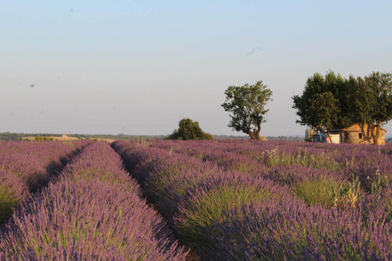Le Mas Du Colombier Cadenet Bagian luar foto