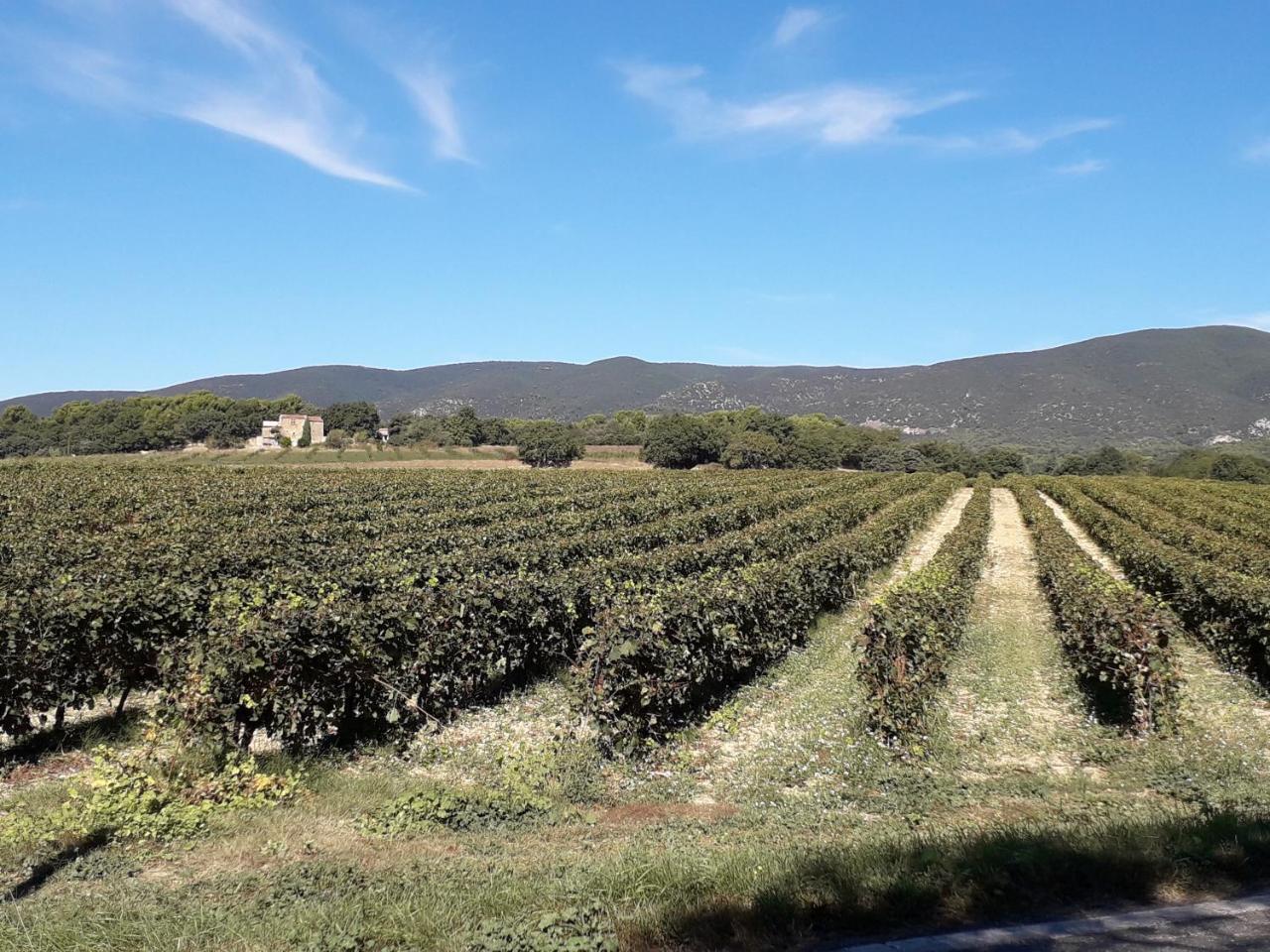 Le Mas Du Colombier Cadenet Bagian luar foto