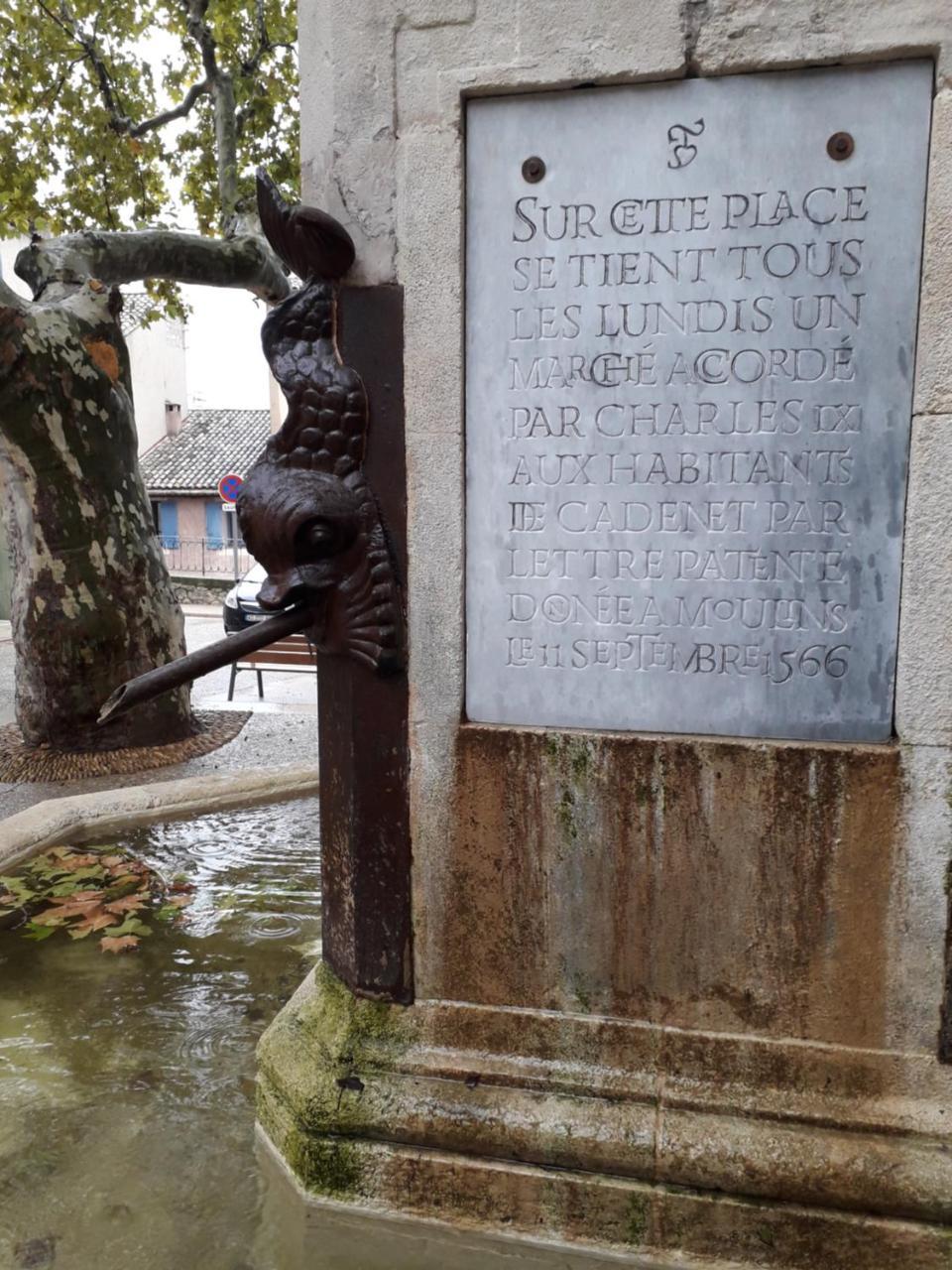 Le Mas Du Colombier Cadenet Bagian luar foto