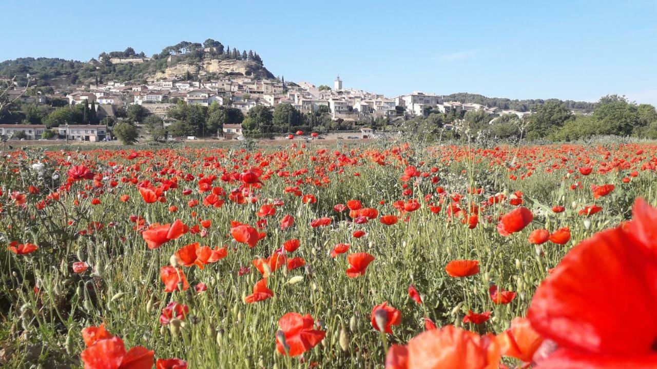 Le Mas Du Colombier Cadenet Bagian luar foto