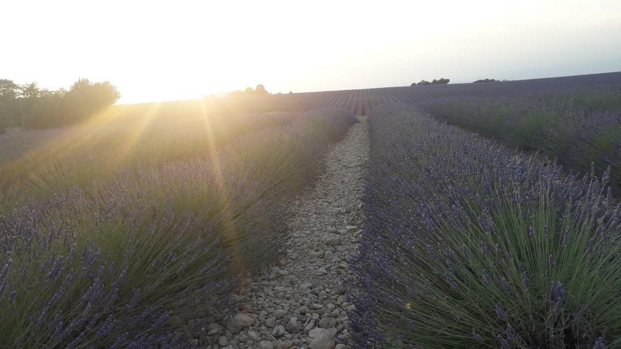 Le Mas Du Colombier Cadenet Bagian luar foto